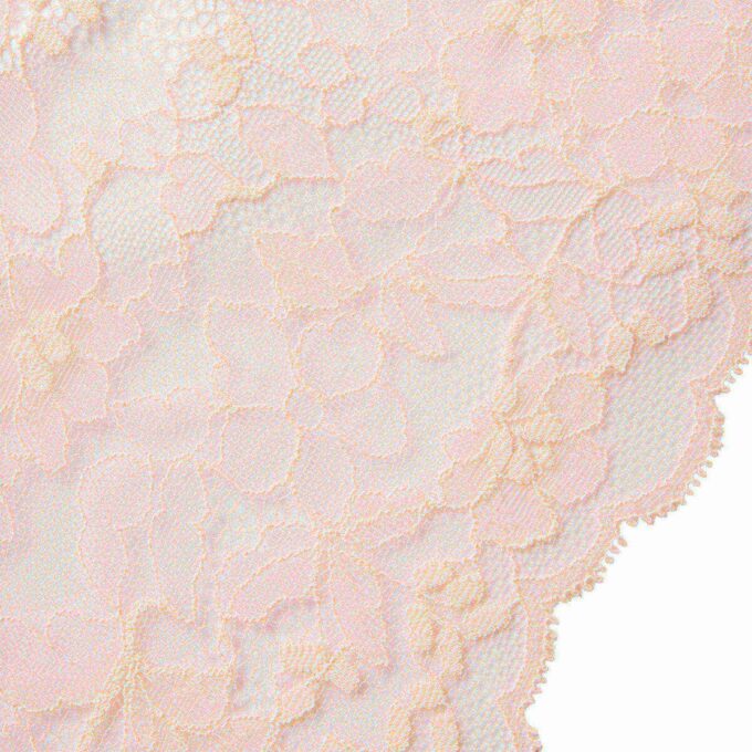 SKIMS LACE UNLINED MINIMIZER BH SKIMS LACE UNLINED MINIMIZER BH